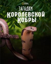 Загадки королевской кобры (2009) смотреть онлайн